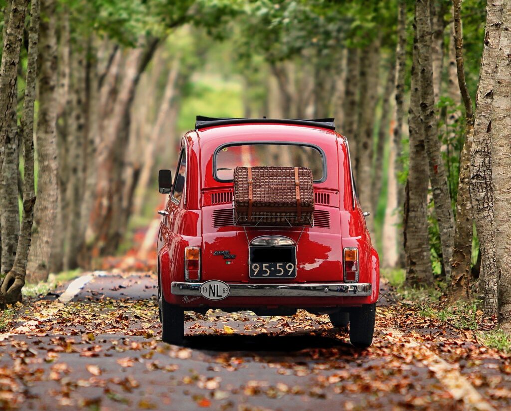 Rotes Auto in einer Baumallee